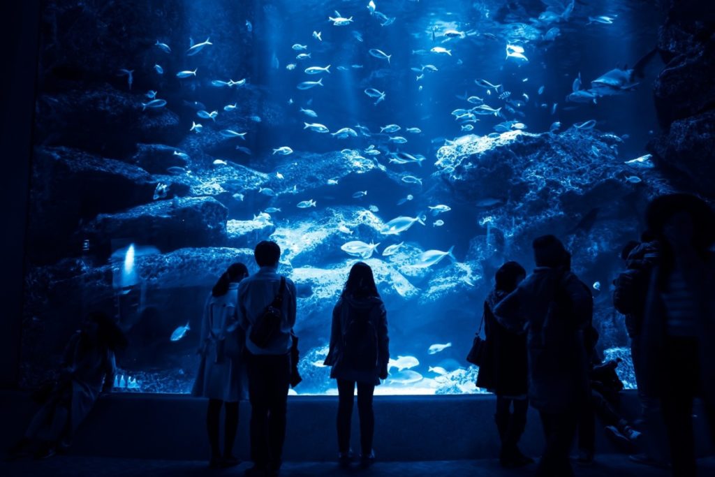 水族館